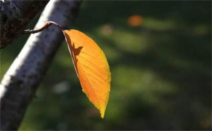 对方说在干嘛怎么幽默回复,对方说在干嘛我怎么回答