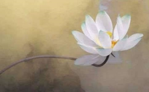 属鸡2014年运势及运程,属鸡2014年的运势及运程