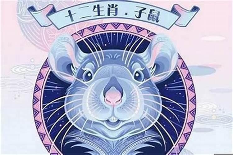 84年鼠后半生运程 属鼠的人过了本命年运势如何