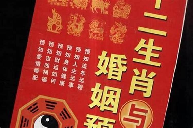 测男女八字算两人姻缘（精准断八字）