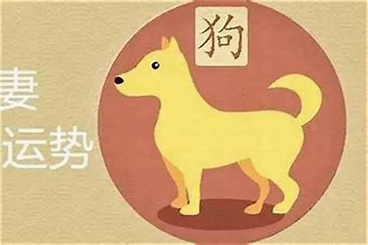 十二生肖狗的最佳配对属相_属狗配什么属相最好呢？男狗女兔孩子属什么最好命