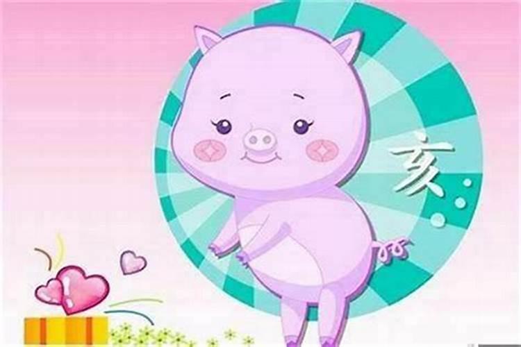 属狗和属猪的生什么属相的宝宝_我属狗老婆属猪_生什么生肖孩子好？孩子生什么属相最好