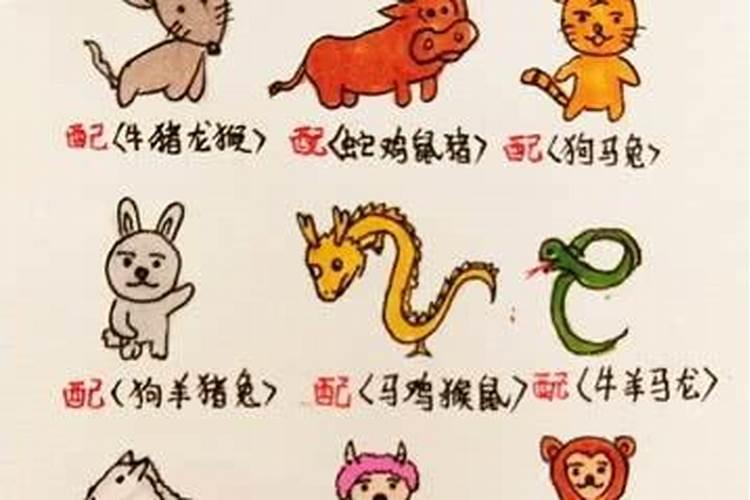 十二属相婚配准吗？属蛇和属蛇婚配怎么样