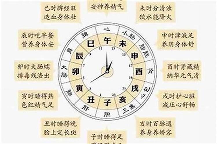 十二时辰分别指的是什么时候？准备天光的时辰是什么意思啊