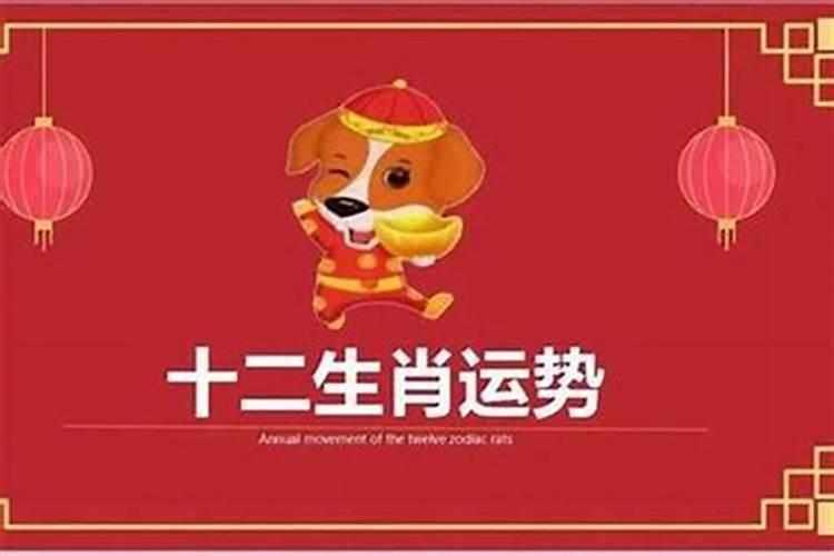 1982年生属狗的人忌讳哪些颜色吉祥？属狗的穿什么颜色衣服好